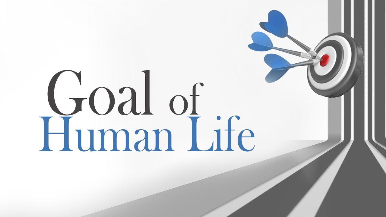 What Is The Ultimate Goal of Life?